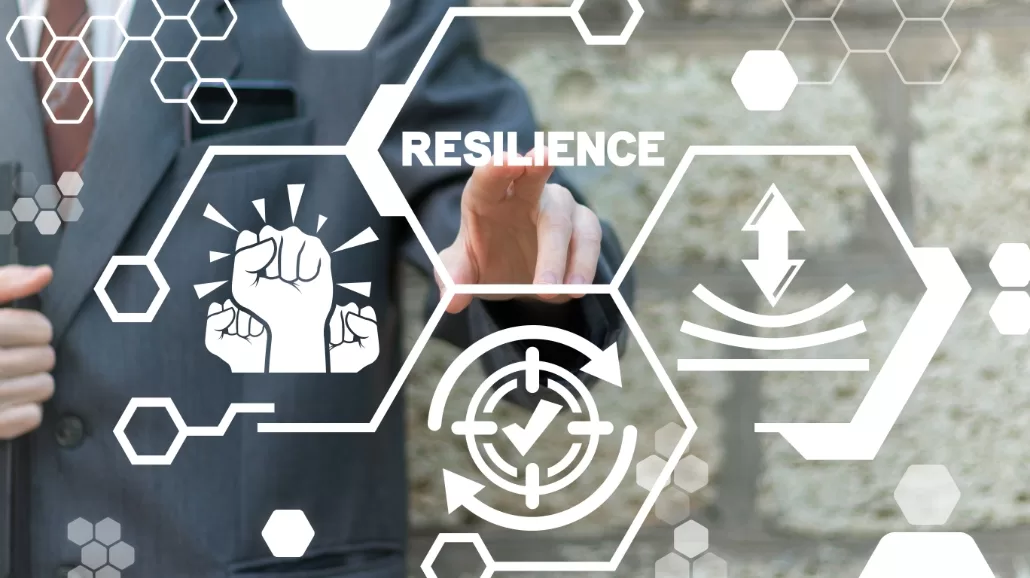 Resilience and Minimized Downtime Resilience and Minimized Downtime